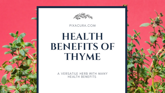 A picture of thyme herbs